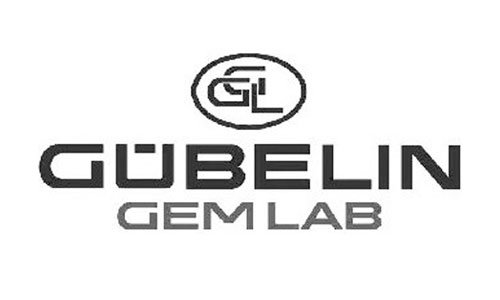 abdul-salam-gems-gublin-Logo-img